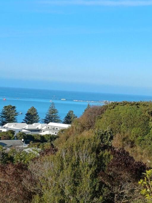 Bayviewonwhitby Βίλα Καϊκούρα Εξωτερικό φωτογραφία